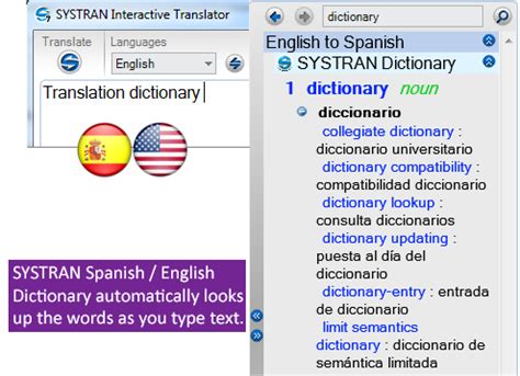 dictionary in spanish translation